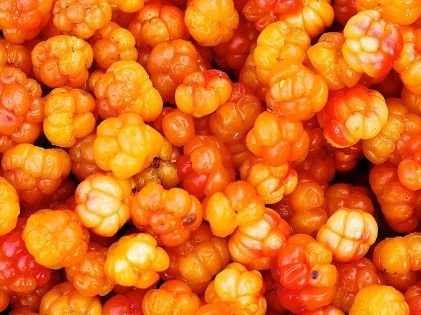 Cloudbe98112187's profile picture. Just have fun with it