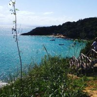 Sole Frate (@sole63597285) 's Twitter Profile