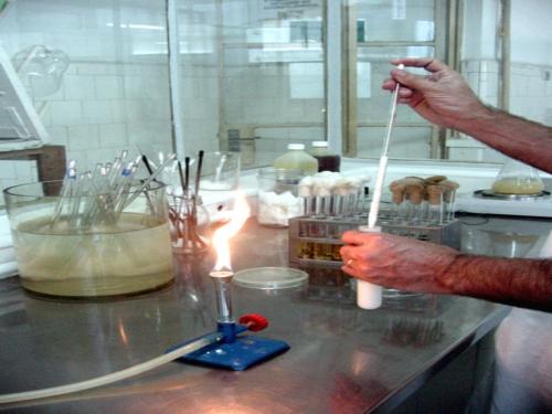 mlrsantolin79's profile picture. 