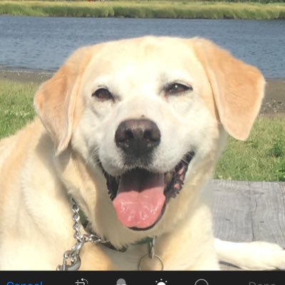 Raffhasnonuts's profile picture. Support all military, first responders, LEGAL immigration, if not, it hurts us All- What about MY rights? Tired of PC! #GetAmericaGreat2024 #NRA #1A #2A