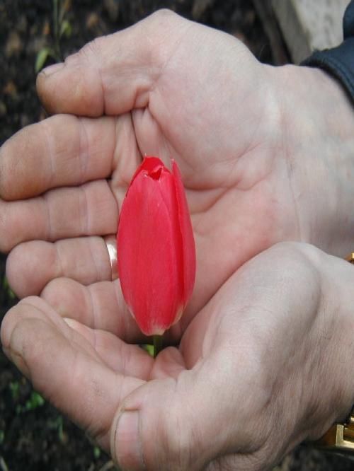 pdekabr's profile picture. 1953 г.р.,пенсионер,двое детей,четверо внуков.