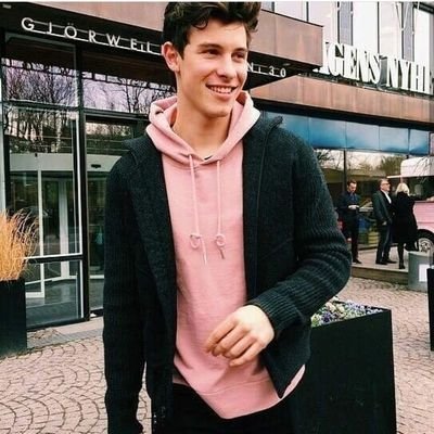 Sozinha na vida, ama filmes clichês e é super fã do Shawn Mendes💕
Insta📷:eigabisiqueira