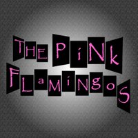 The Pink Flamingos(@HollyOlsenMusic) 's Twitter Profile Photo