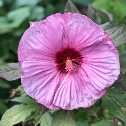 janny_tony's profile picture. 健身與保健 時尚與美容 美食 健康 一般新聞 書籍 旅遊 旅遊 旅遊 生活時尚名人