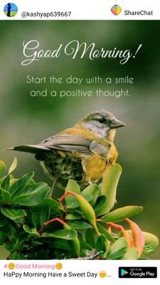 nikhilbhalgat11's profile picture. 