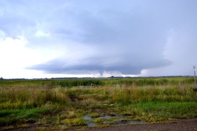 Meteorologists/grad students having fun w/ weather | Chasing storms in every season 🌪❄ | Please DM us for rights to use video |