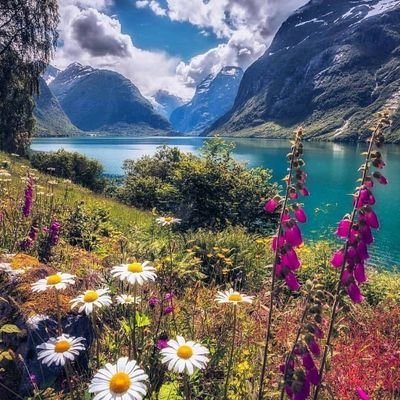 Leakyfaucet28's profile picture. 