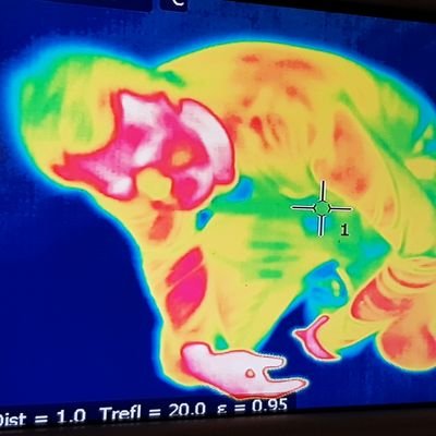 Tanaruss1's profile picture. YAAAAAAAAAAAAS SLAAAAY.DADDY