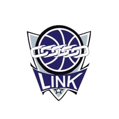 LINK team Profile