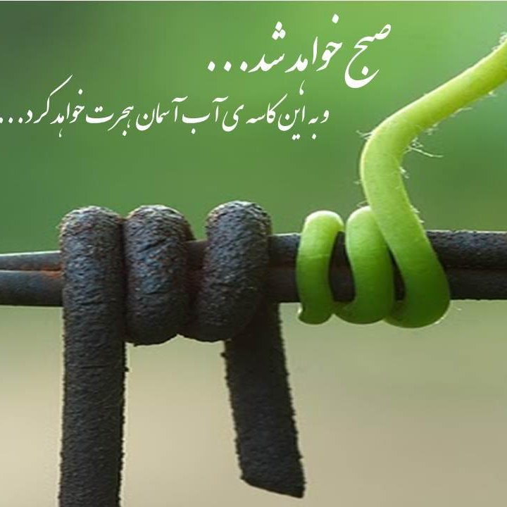 Ramin_kh28's profile picture. medical doctor
the retweet is not an endorsement