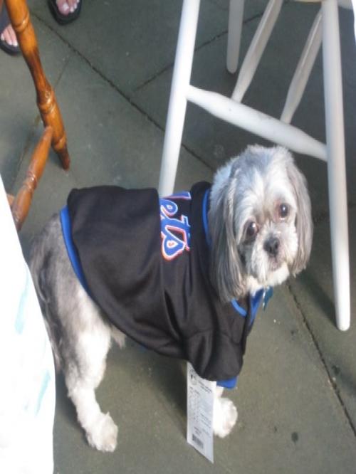 AmyW215's profile picture. 