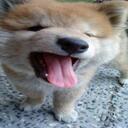 Andrea Wu - @ant_rose - Twitter