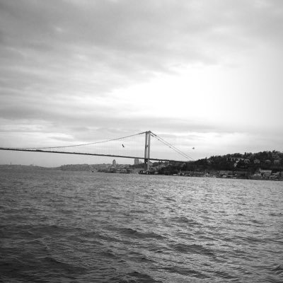 haum65693236's profile picture. Aum'er🐔