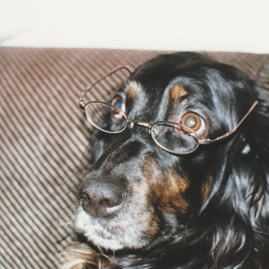 JyrkiTikkinen's profile picture. Col.(MC) ret., Oberstarzt a.D. , gen. surg. FDF 🇫🇮.WWUni Mü/W./H Heine Univ. Düsseldorf.  Twiitit useimmiten tosia,mutta  kannattaa lukea rivien välistäkin.