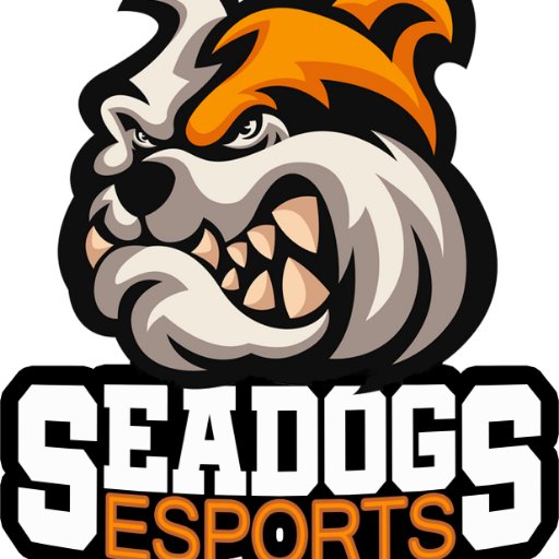 Amateur League of Legends organisation Seadogs. 

Formerly known as: Salty Seadogs.