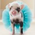 WigglesThePig (@wigglespigthd) Twitter profile photo WigglesThePig (@wigglespigthd) Twitter profile photo