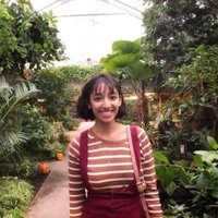 ambika vohra updates ✨ (@ambika_vohra) 's Twitter Profile