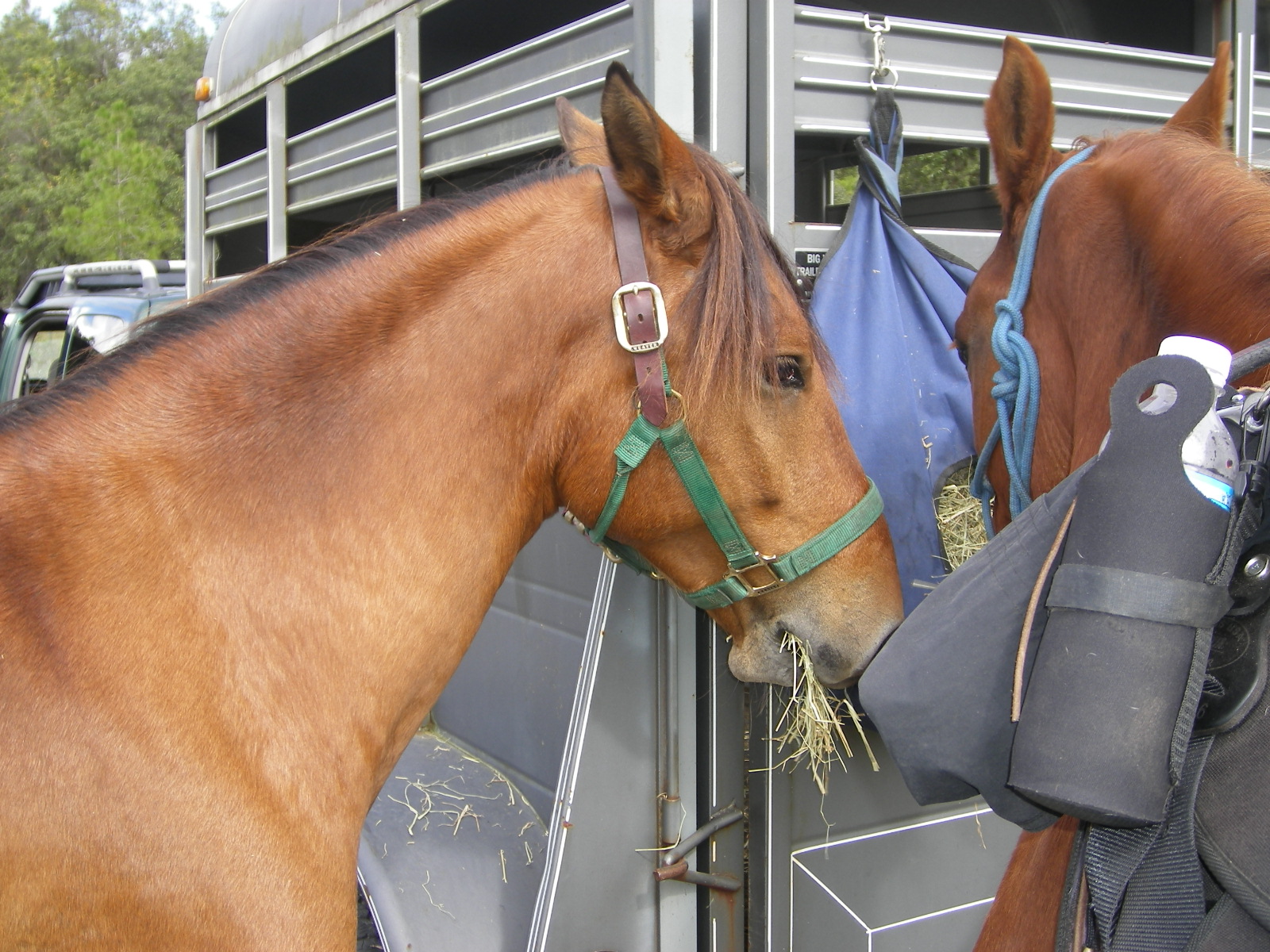 SullysMom29's profile picture. Love hanging out with my kids and granddaughter and riding my horse.