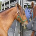 Deborah Simpson - @SullysMom29 - Twitter