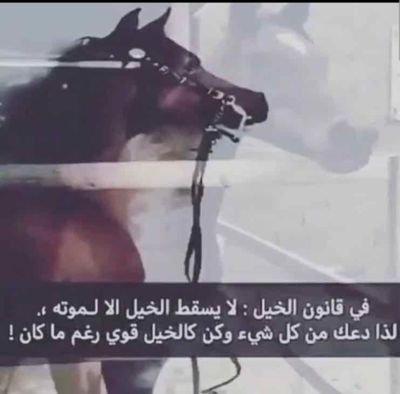 vRa4B32lyJ1isdp's profile picture. ‏اكره الكذب والكذابين