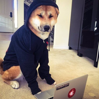 hackerspaceba's profile picture. https://t.co/IJhhoR3GRP
