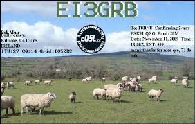 Small scale mixed enterprise farmer, dairying, sheep & store cattle.Licensed radio ham, ei3grb. Never too far away from a cow's rear end or a hf rig's front end