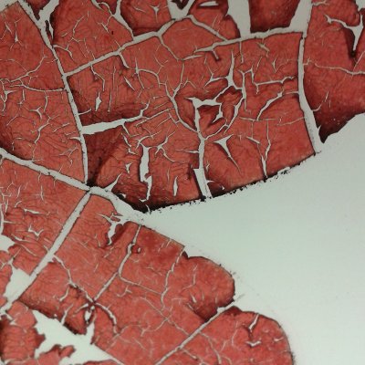 CS PhD student at Stanford / Researcher at the Alignment Research Center