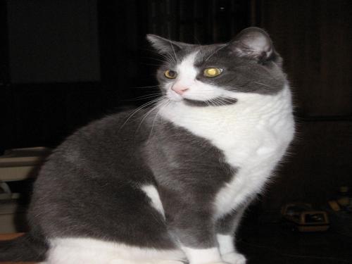 YvonGelinas's profile picture. 