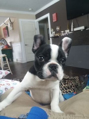 582Semtech's profile picture. 