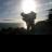 bikingbackwards's profile image