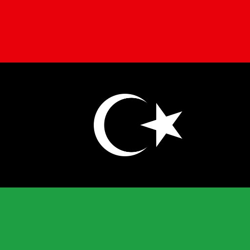 Representing Libya at MACMUN 2019