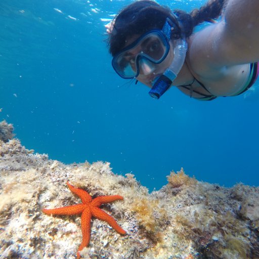 Postdoc at University of Florida, interested in ecology | coastal ecosystems conservation & restoration | nature-based coastal protection  🐚🌴🐠🌿🌊