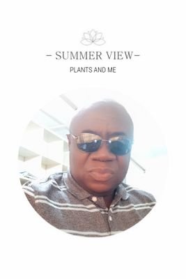 samojeaburu's profile picture. Research Scientist & Social commentator .