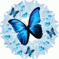 Blue Butterfly DC Giving Page 🦋 (@bluegiving) 's Twitter Profile