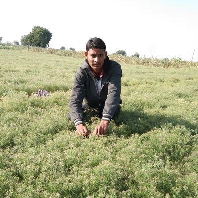 mSondabhai's profile picture. sonda bhai