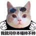 Beier Chen (@beierchen1) Twitter profile photo