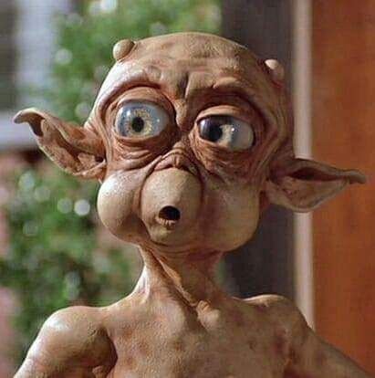 DaiDai02438049's profile picture. 