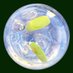 TheGinRoom Scottish Gin Group Community (@ginroomscotland) Twitter profile photo TheGinRoom Scottish Gin Group Community (@ginroomscotland) Twitter profile photo