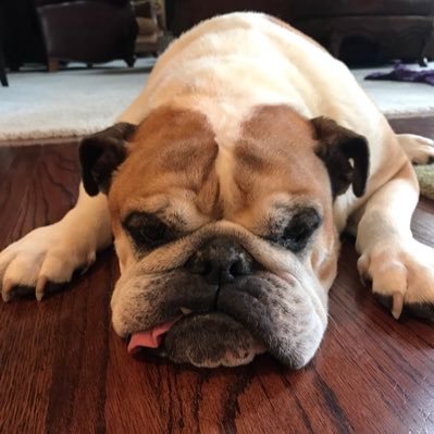 EmmaStice's profile picture. Sycamore '17//UNA soccer '21