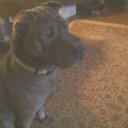 Pamela Tolbert - @PamelaTolbert11 - Twitter