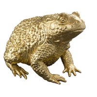 The Golden Toad(@ToadGolden) 's Twitter Profile Photo