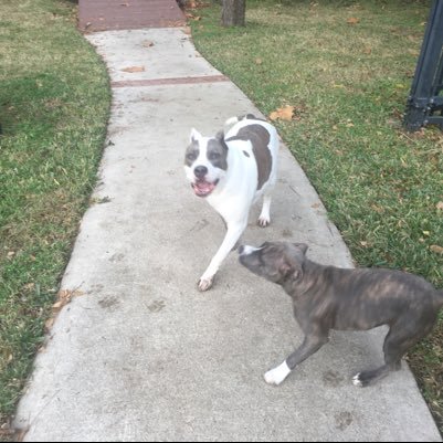 spad77256126's profile picture. 