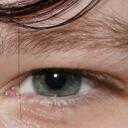 Dexter Petersen - @Dexter_P - Twitter