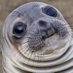 Unvaccinated Neuralink User (@emotionalhog) Twitter profile photo Unvaccinated Neuralink User (@emotionalhog) Twitter profile photo
