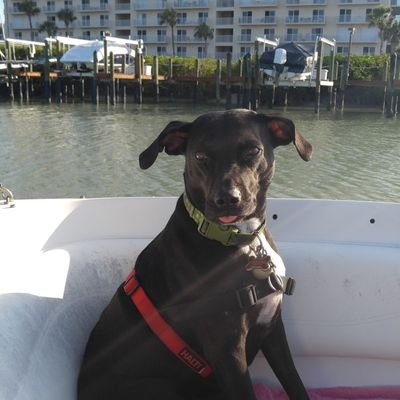 Dcota05's profile picture. 