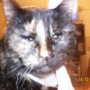 Lynn Kinder - @blueskytx - Twitter