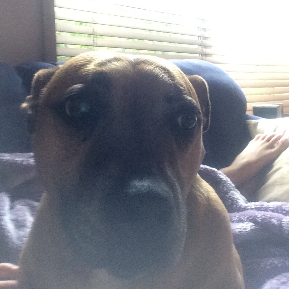 chelseacoran's profile picture. 