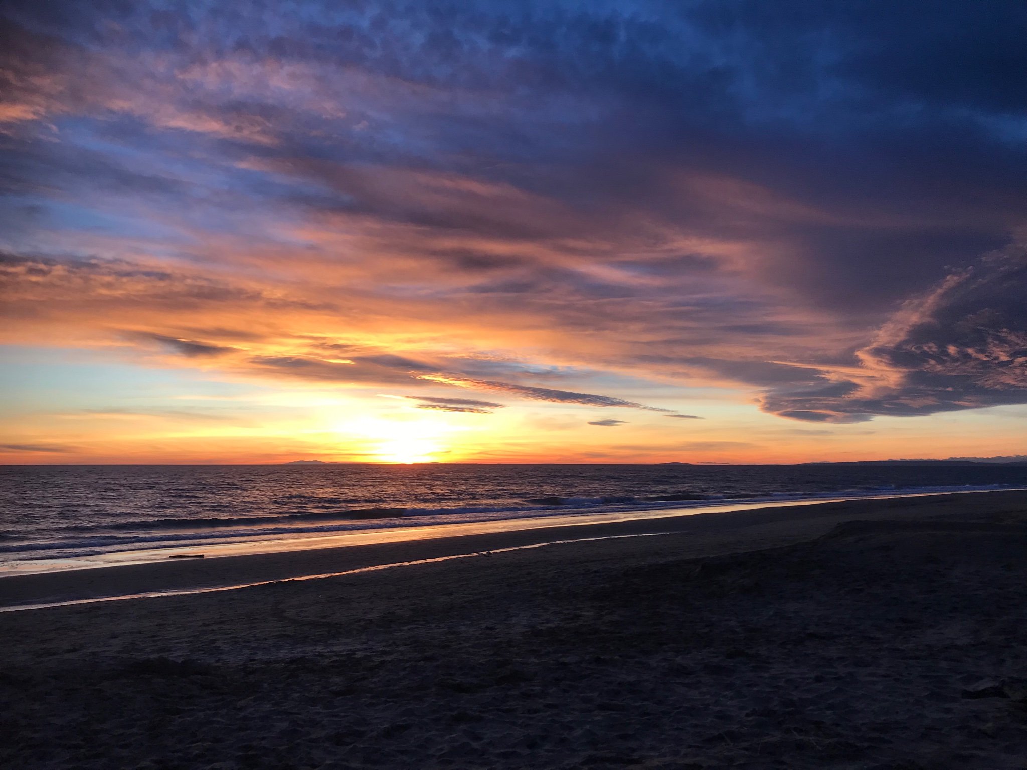 Tommy75981381's profile picture. 