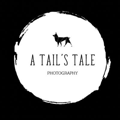 Dog Photographer specialising in outdoor photography based in Hull, Yorkshire 🐾🍃