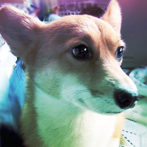 カクヨムさんにアップロードしている小説宣伝用であります。いいね、RT、フォローされた場合は、こちらからもフォロー返しさせていただきます。